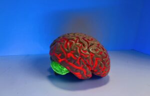 The Hidden Superpower of Our Human Brain
